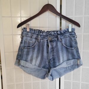One Teaspoon Striped Denim Shorts Sz 26